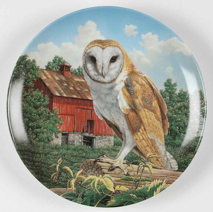 Stately Owls The Barn Owl - Boxed by Edwin Knowles-1