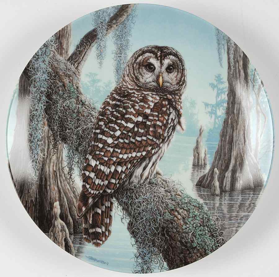 Stately Owls The Barred Owl - Boxed by Edwin Knowles-1