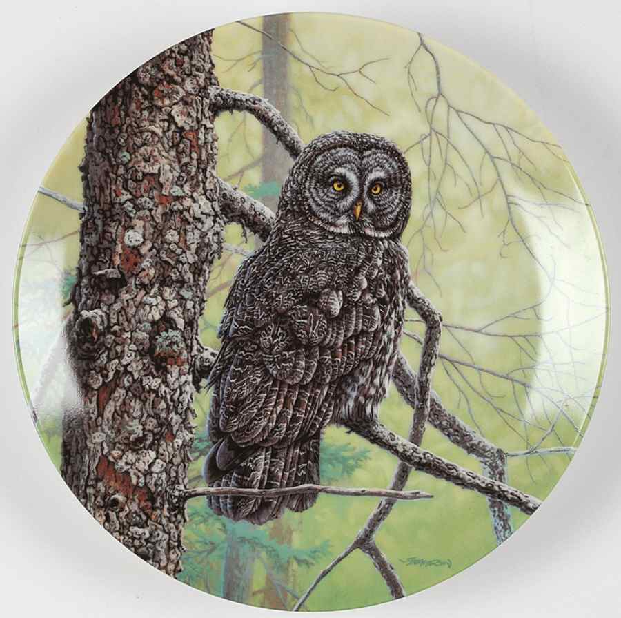 Stately Owls The Great Grey Owl - Boxed by Edwin Knowles-1