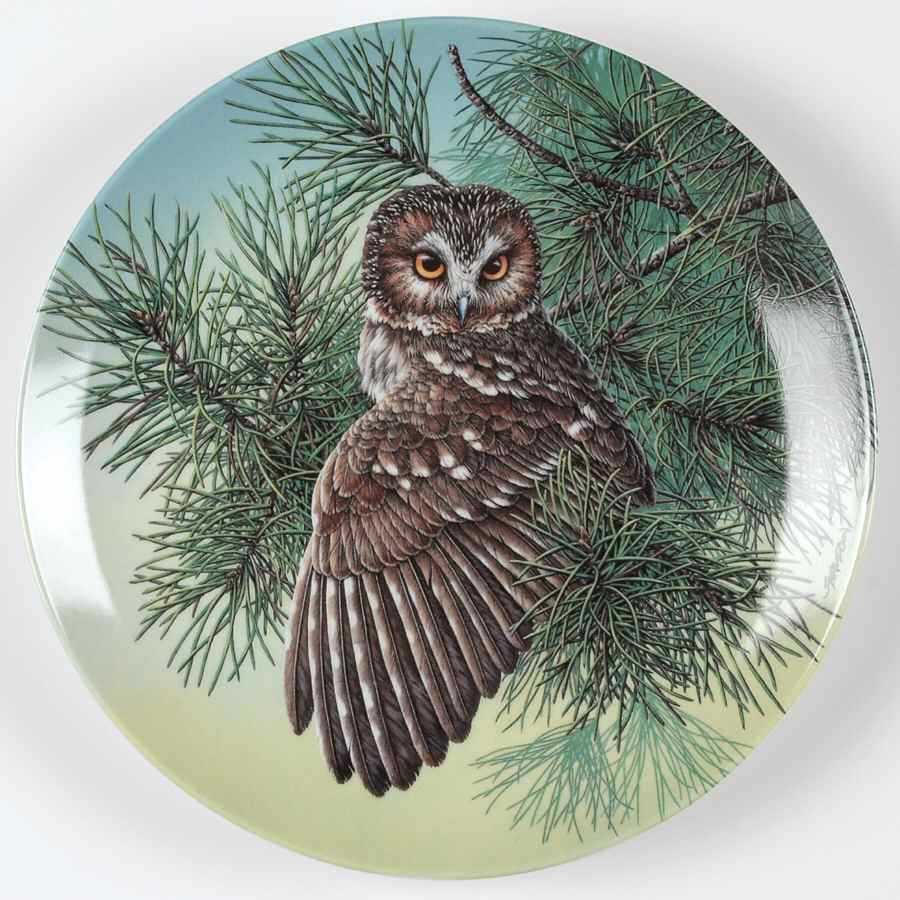 Stately Owls The Saw-Whet Owl - Boxed by Edwin Knowles-1