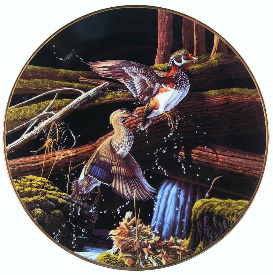 Free As the Wind Skyward - No Box by Edwin Knowles-1