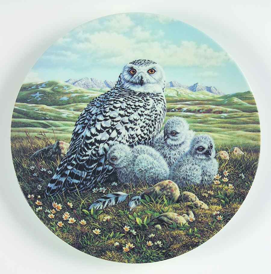 Under Mothers Wing-Plate Arctic Spring:Snowy Owls - No Box by Edwin Knowles-1