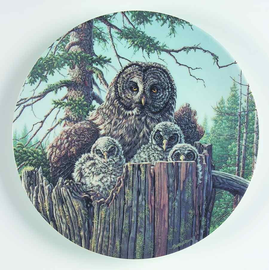 Under Mothers Wing-Plate Forest's Edge:Great Gray Owls - No Box by Edwin Knowles-1
