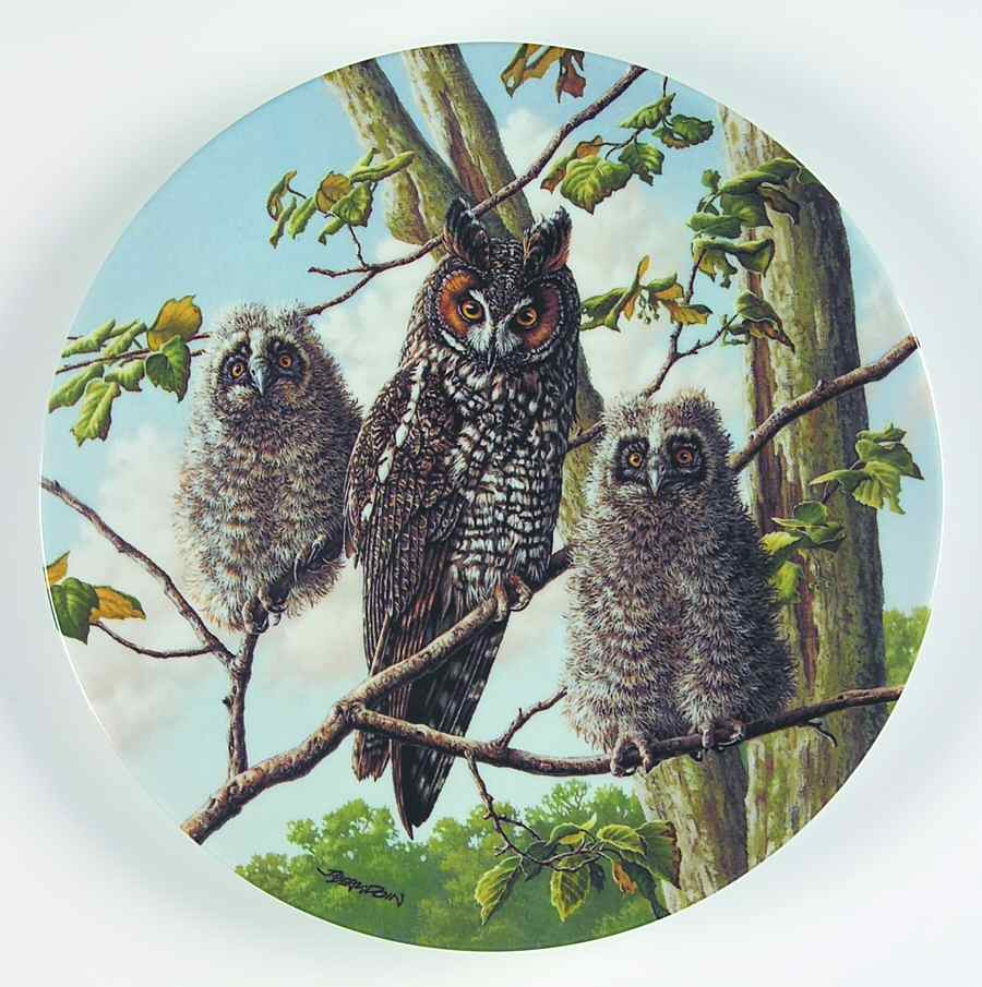 Under Mothers Wing-Plate Treetop Trio:Long-Eared Owls - Boxed by Edwin Knowles-1