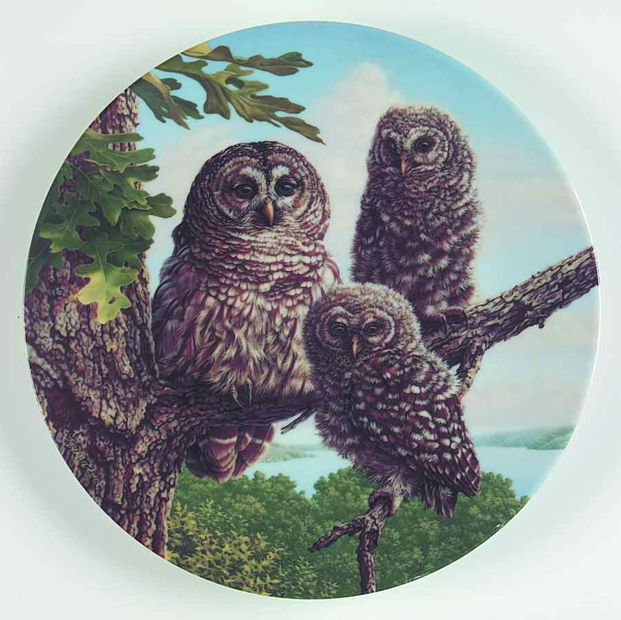 Under Mothers Wing-Plate Perfect Perch:Barred Owls - Boxed by Edwin Knowles-1