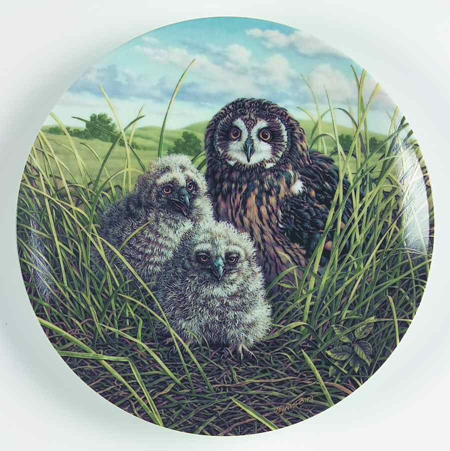 Under Mothers Wing-Plate Happy Home:Short-Eared Owl - Boxed by Edwin Knowles-1