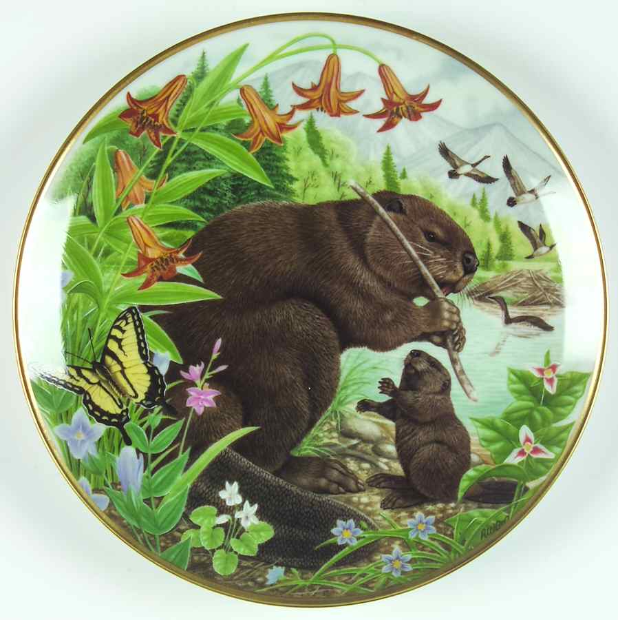 Woodland Creatures Morning Lesson - Boxed by Kaiser-1