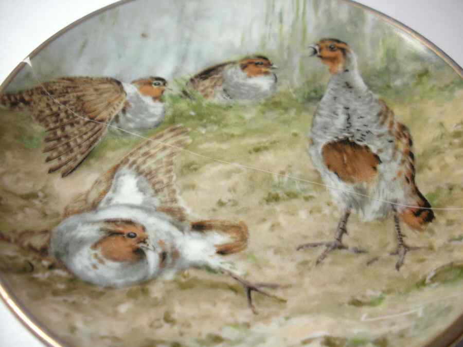 Wildlife Game Birds Gray Partridge - With Box by Kaiser-1