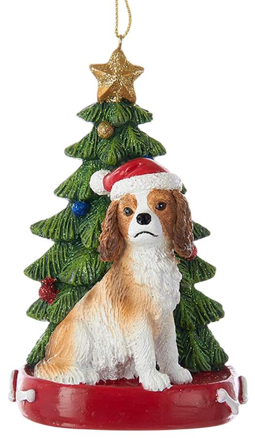 Pet Breeds with Christmas Trees Cavalier King Charles Spaniel - No Box by Kurt Adler-1