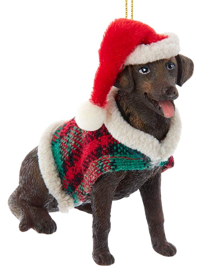 Dog Breeds with Sweaters Chocolate Labrador Retriever - No Box by Kurt Adler-1