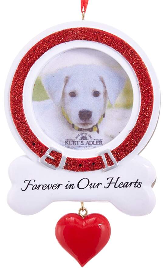 Pet Parade (Resin) Forever In Our Hearts Photo Frame - No Box by Kurt Adler-1