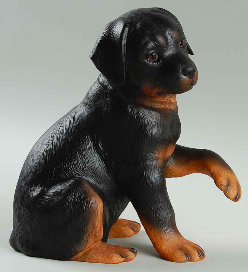 Breed Puppies Rottweiler Puppy - Boxed by Lenox-1