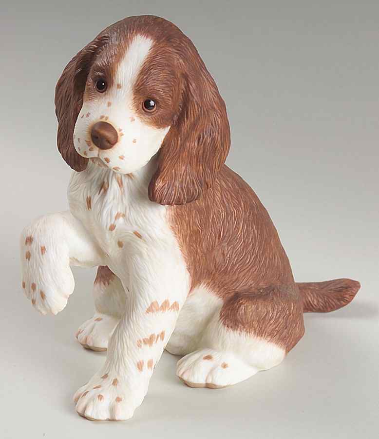 Breed Puppies English Springer Spaniel Puppy - No Box by Lenox-1