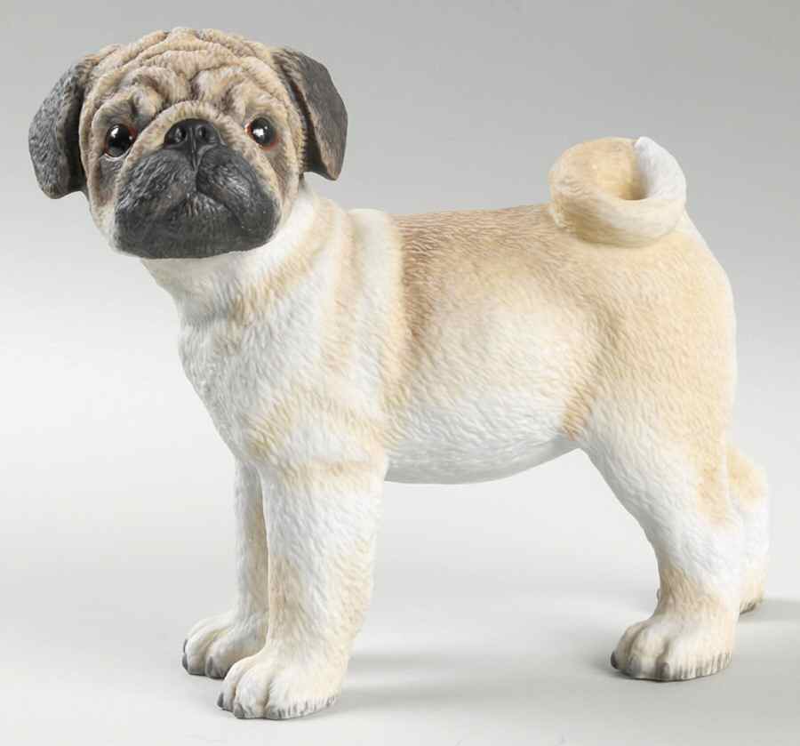 Breed Puppies Pug Puppy - No Box by Lenox-1