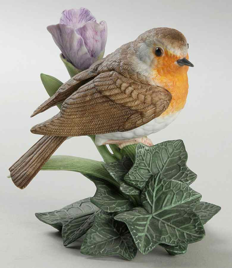 European Birds European Robin - No Box by Lenox-1