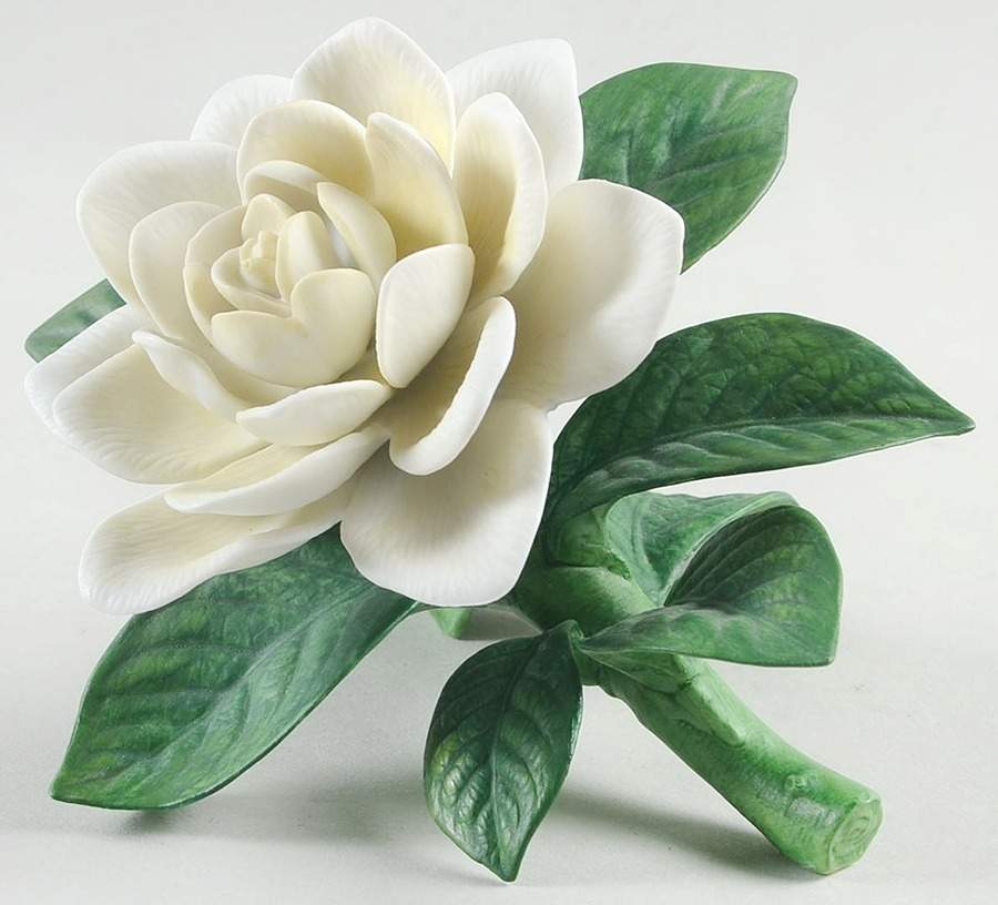 Garden Flowers Gardenia - Boxed by Lenox-1