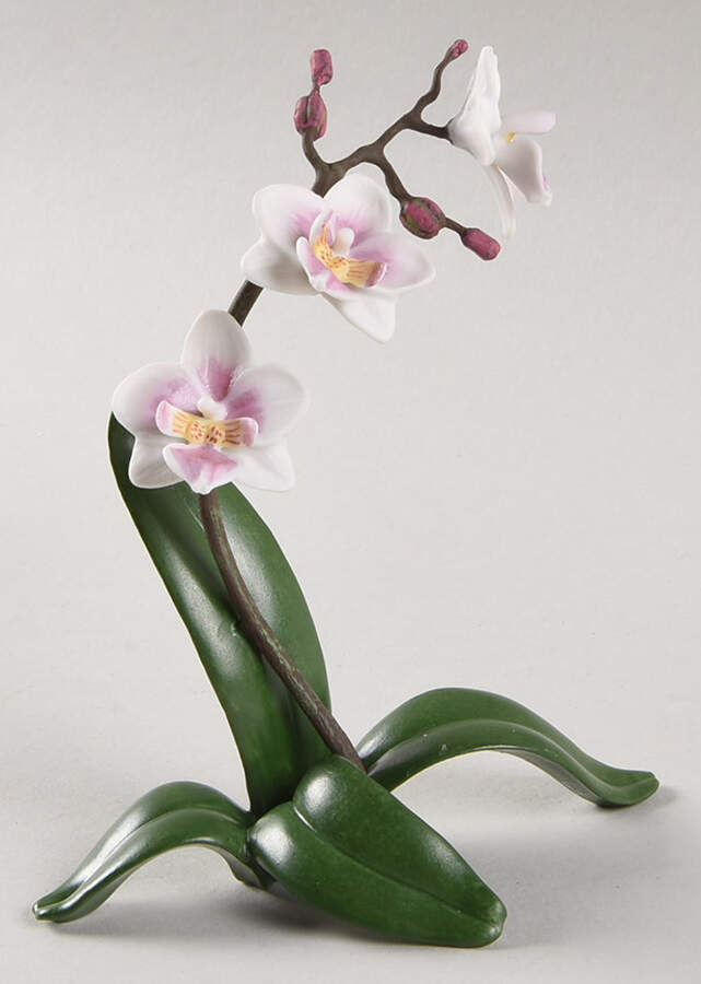 Garden Flowers Phalaenopsis Brother Dancer Orchid - No Box by Lenox-1