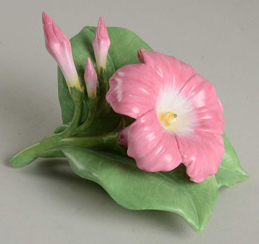 Garden Flowers Mandevilla - Boxed by Lenox-1