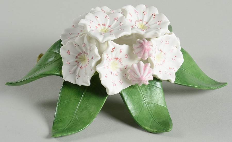 Garden Flowers Mountain Laurel - Boxed by Lenox-1