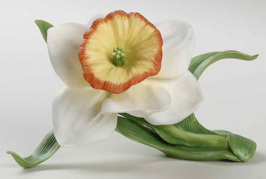 Garden Flowers Bright Eyed Daffodil - Boxed by Lenox-1