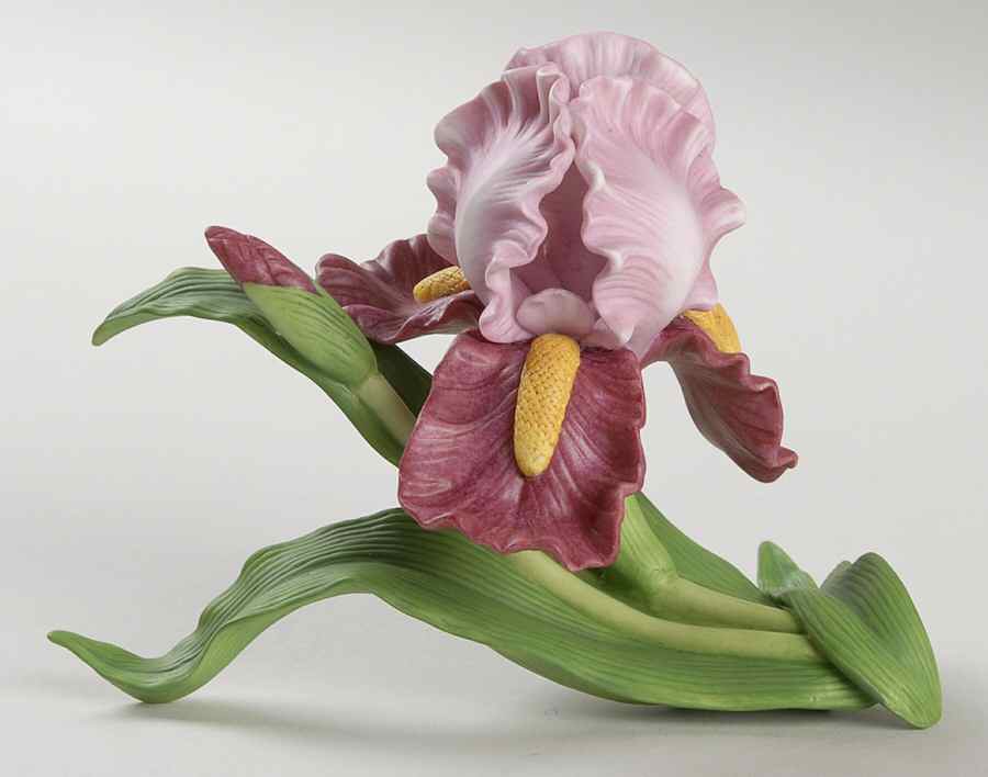 Garden Flowers Vintage Iris - Boxed by Lenox-1