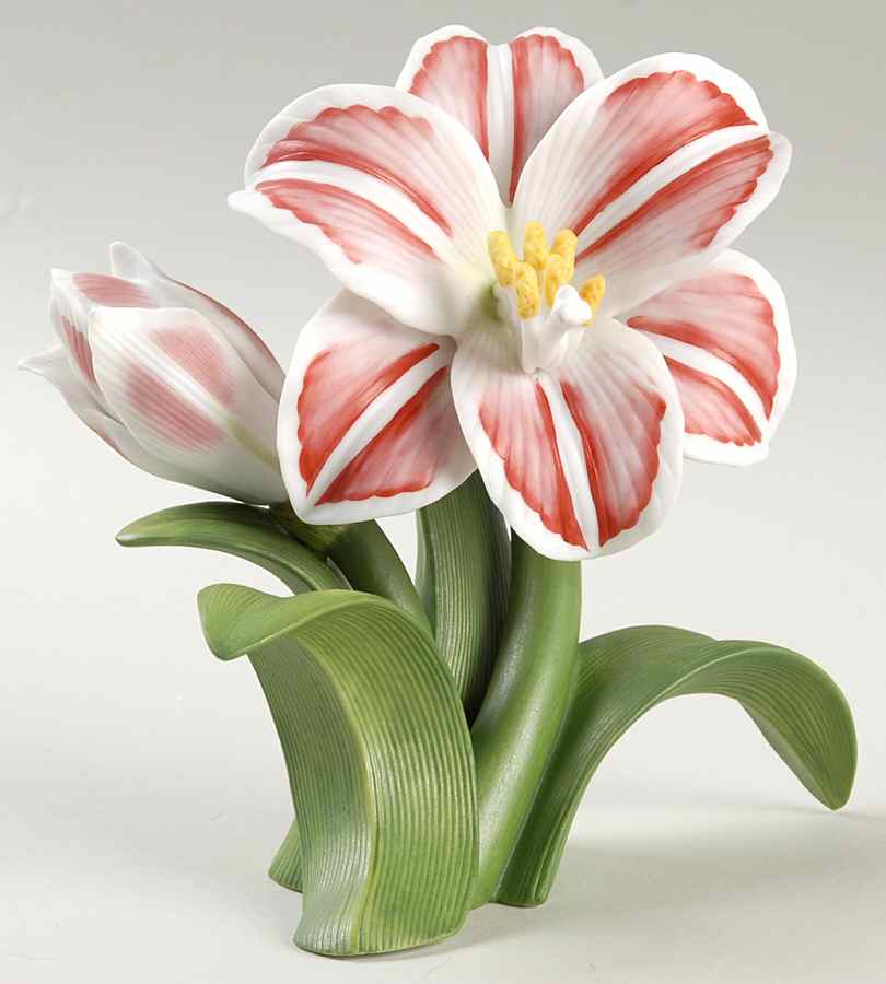 Garden Flowers Amaryllis - Boxed by Lenox-1