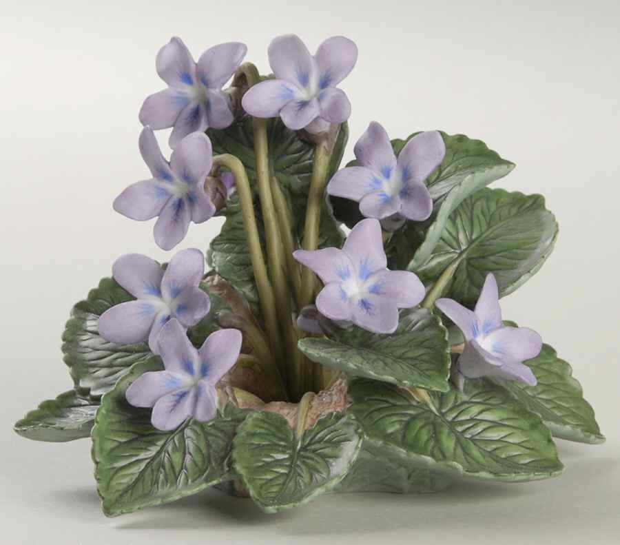 Garden Flowers Common Blue Violets - Boxed by Lenox-1