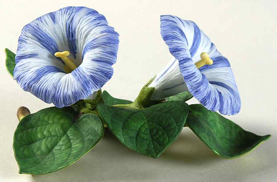 Garden Flowers Morning Glory - Boxed by Lenox-1