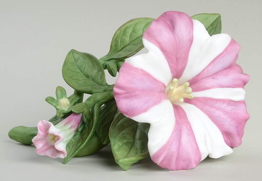 Garden Flowers Petunia - Boxed by Lenox-1