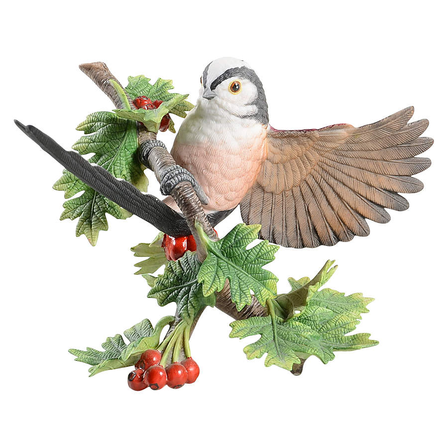 Garden Birds Long-Tailed Titmouse - No Box by Lenox-1