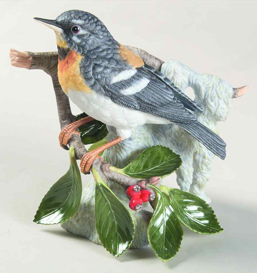 Garden Birds Northern Parula Warbler - No Box by Lenox-1