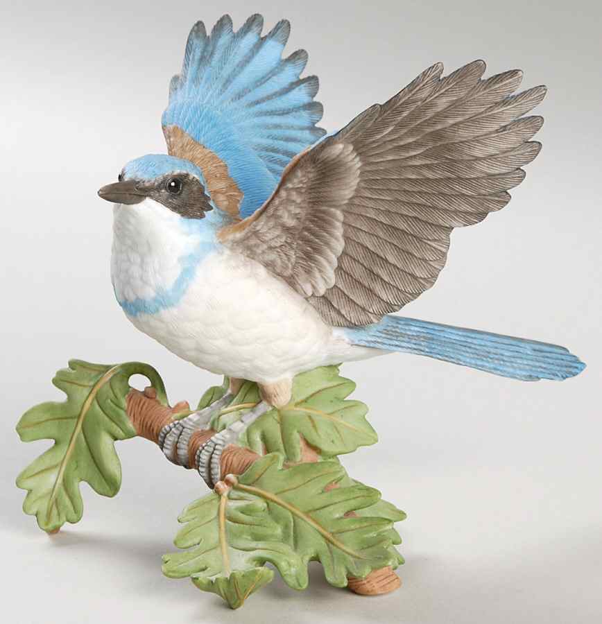 Garden Birds Western Scrub Jay - Boxed by Lenox-1