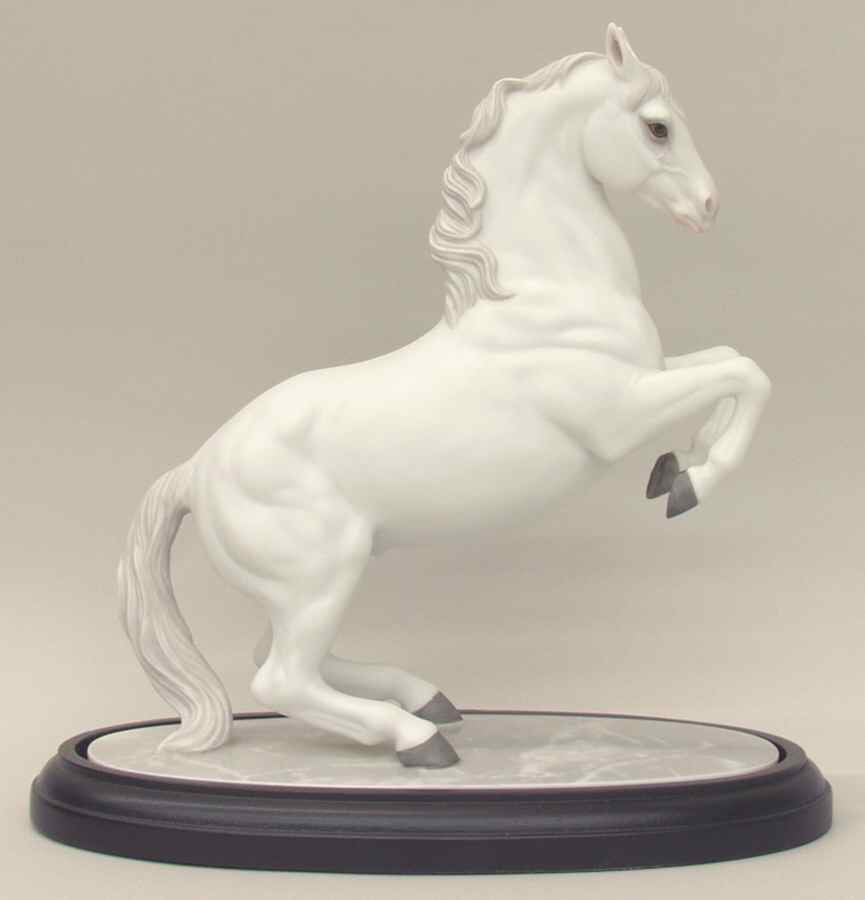 International Horses Airs Above The Ground-Lipizzan Stallion - No Box by Lenox-1
