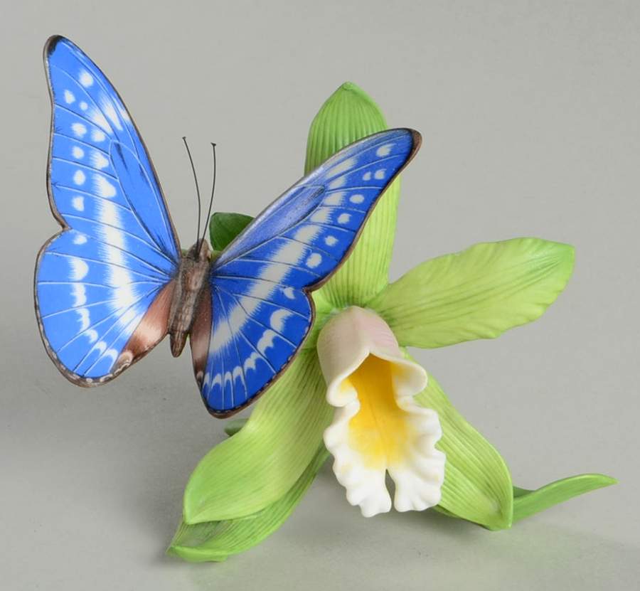 Nature's Beautiful Butterflies Rain Forest Dazzler - Boxed by Lenox-1