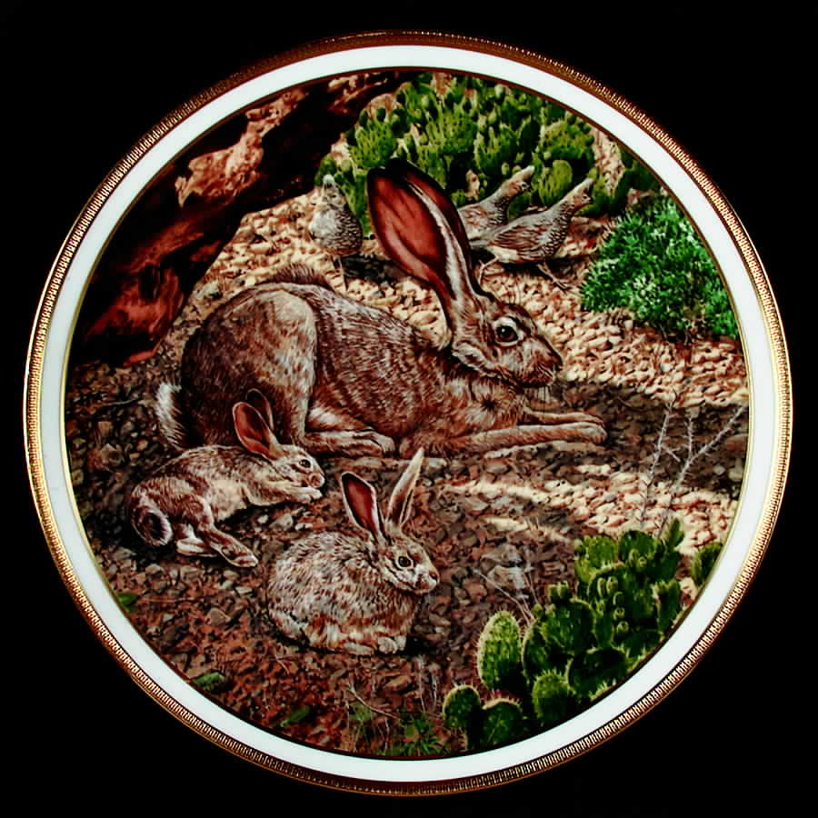 American Wildlife Jack Rabbit - Boxed by Lenox-1