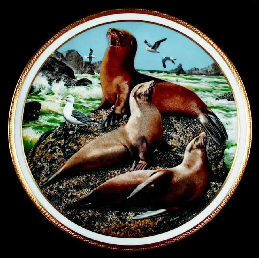 American Wildlife Sea Lions - Boxed by Lenox-1