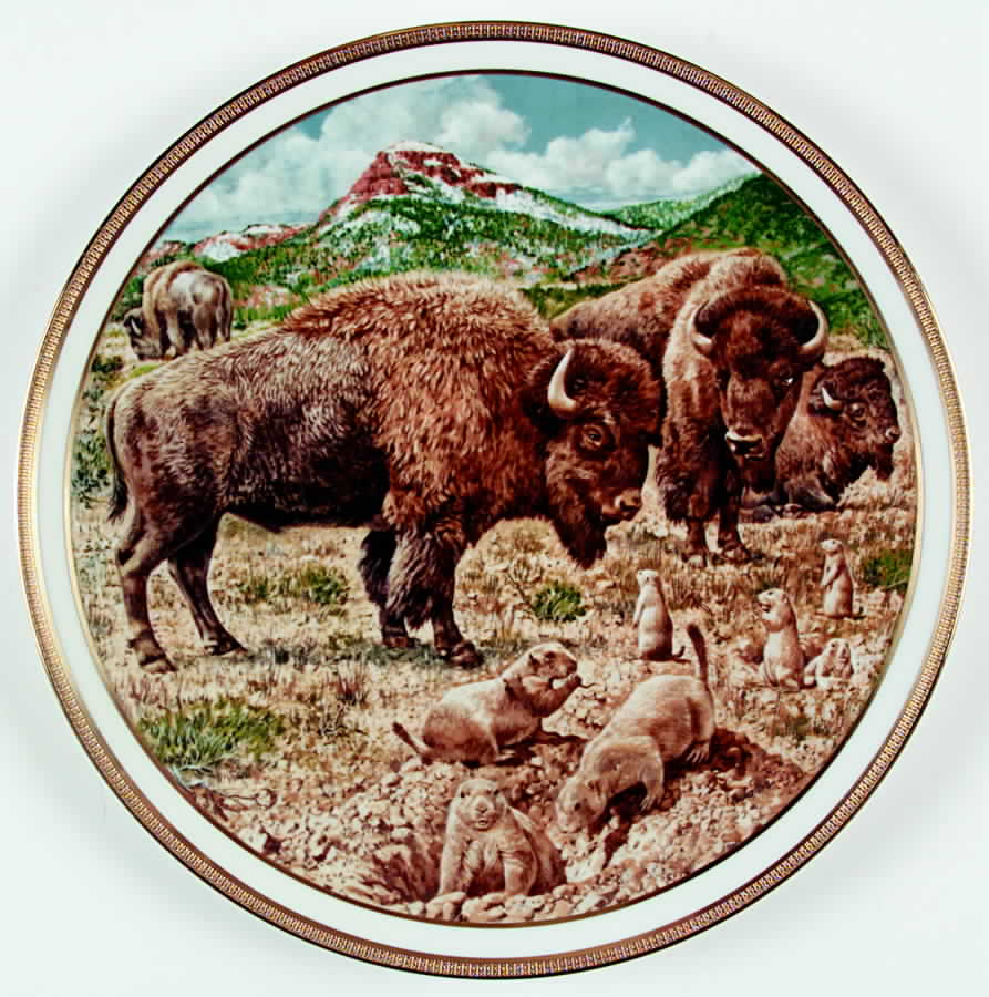 American Wildlife Buffalo - Boxed by Lenox-1