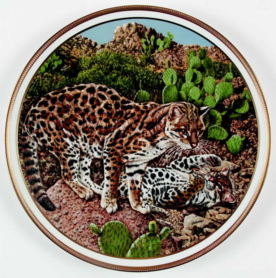 American Wildlife Ocelots - Boxed by Lenox-1