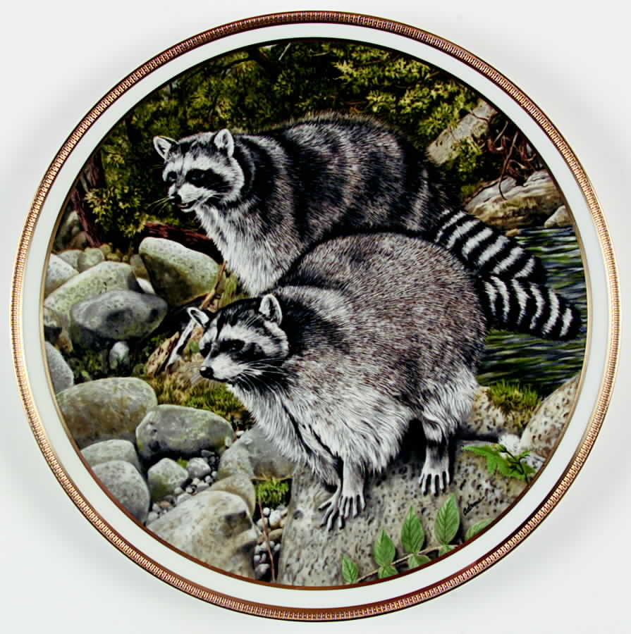 American Wildlife Raccoons - No Box by Lenox-1