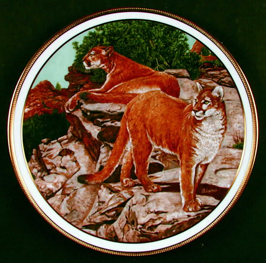 American Wildlife Mountain Lion - Boxed by Lenox-1