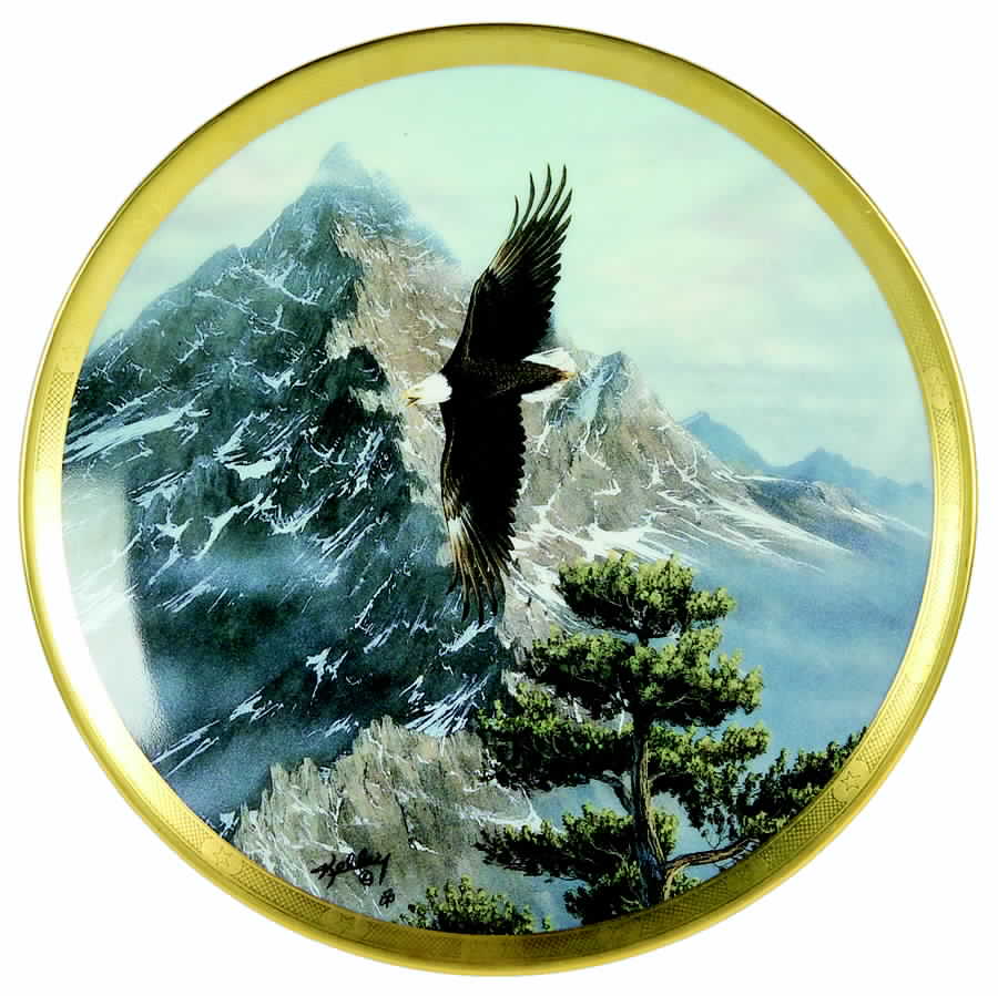 Eagle Conservation Solo Flight - No Box by Lenox-1