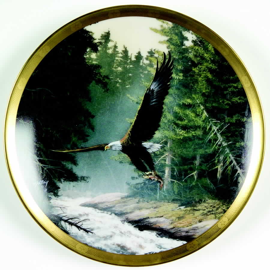 Eagle Conservation Northern Heritage - Boxed by Lenox-1