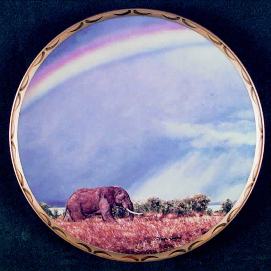 King of The Plains Rainbow Trail - No Box by Lenox-1