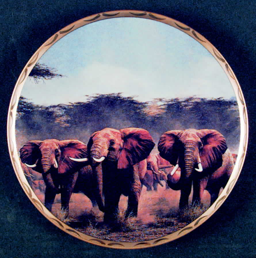 King of The Plains Protecting The Flanks - No Box by Lenox-1