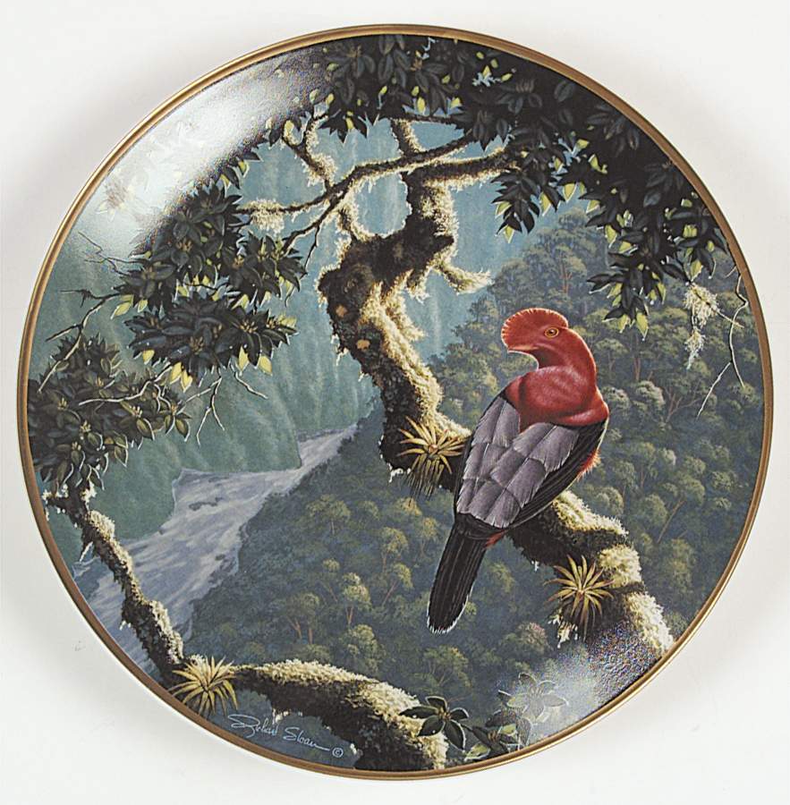 Miracles of The Rainforest Andean Cock Of The Rock - No Box by Lenox-1