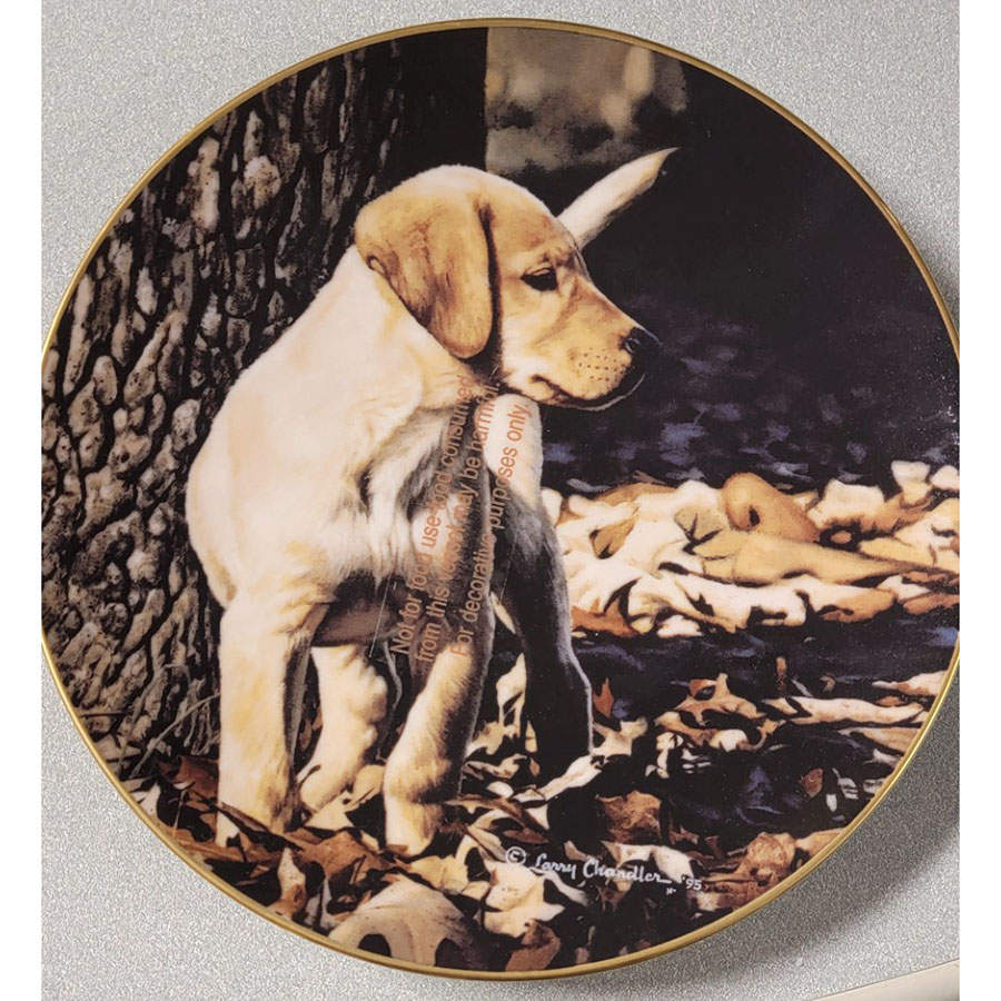 Puppy Portraits Custard - Boxed by Lenox-1