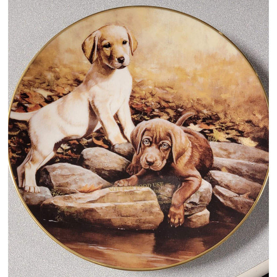 Puppy Portraits Butterscotch & Brownie - Boxed by Lenox-1