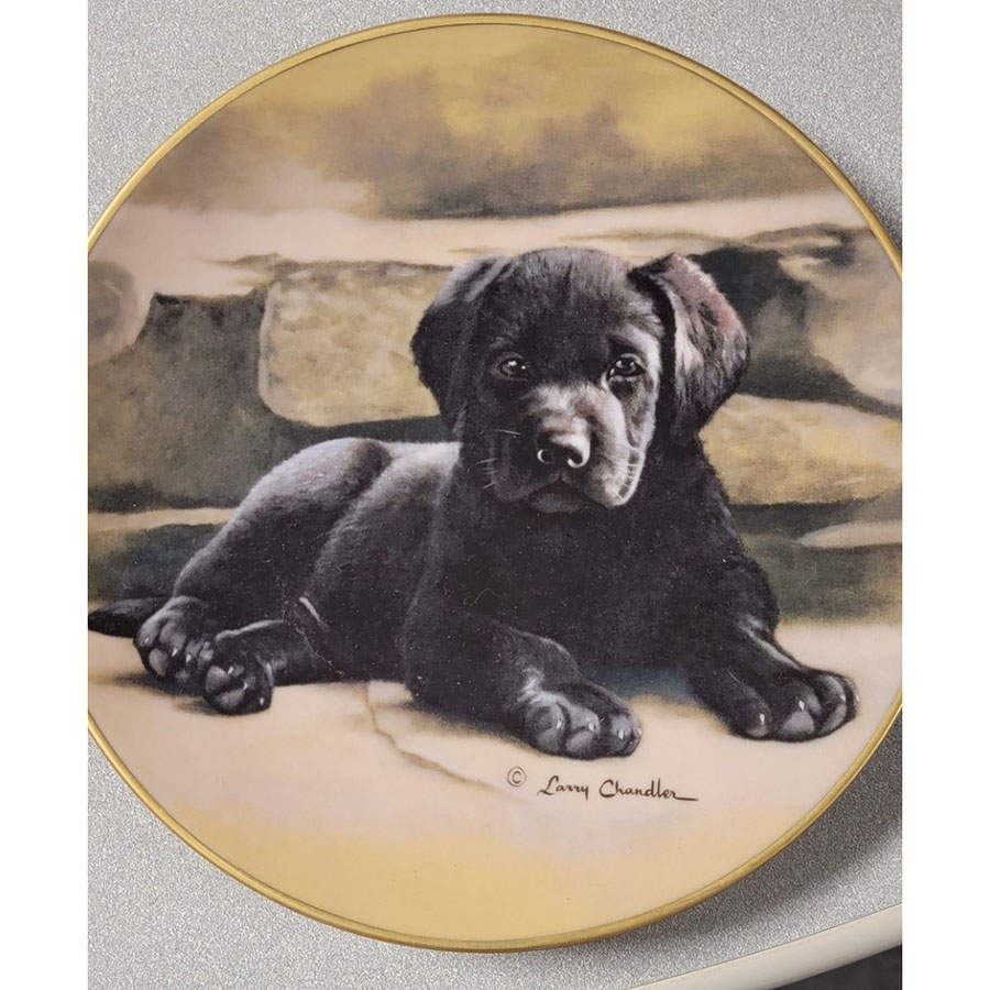 Puppy Portraits Smokey - No Box by Lenox-1