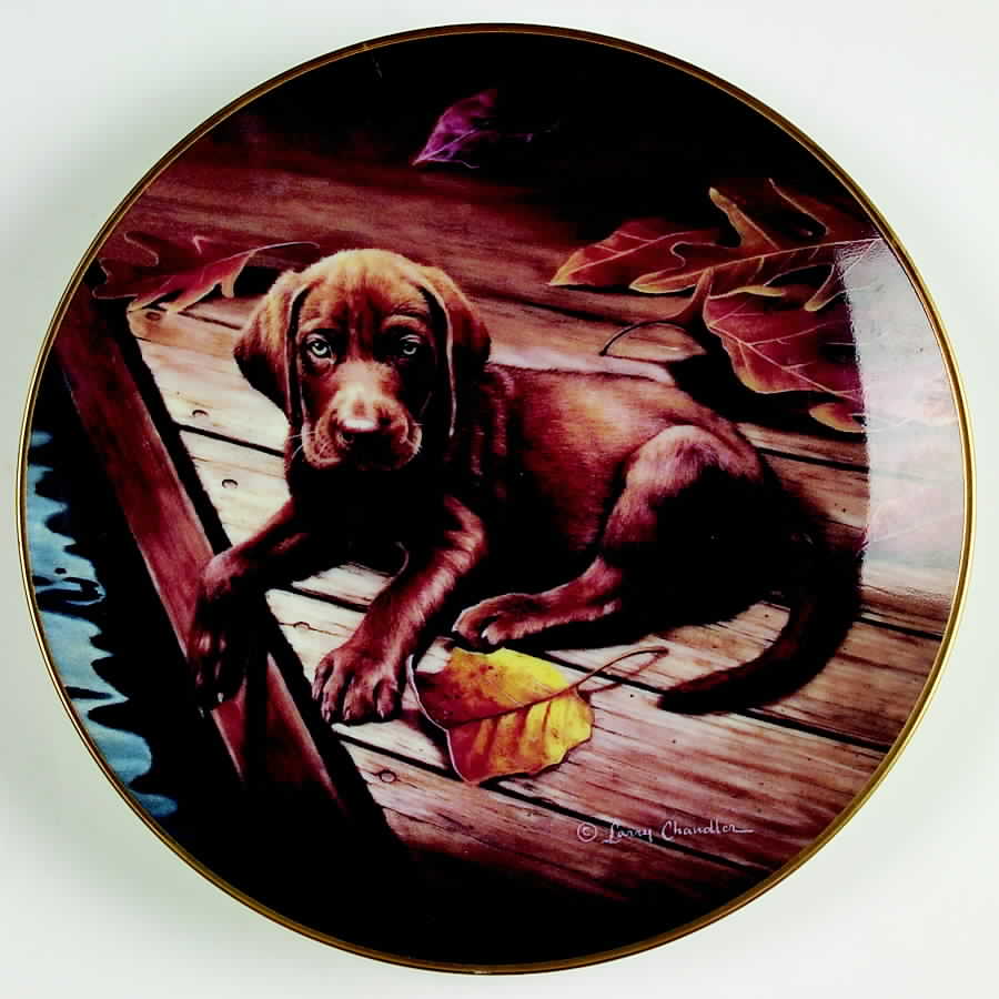 Puppy Portraits Dutch - Boxed by Lenox-1
