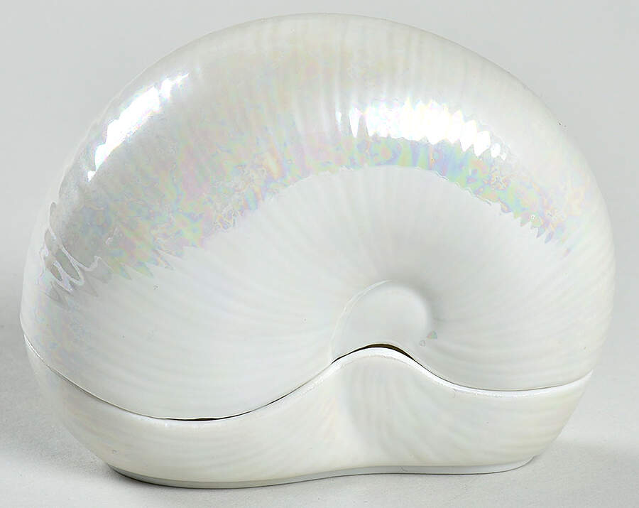 Treasures of The Sea Nautilus - Boxed by Lenox-1